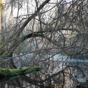 Série Nature - écluse du Mottay
