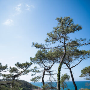 série Mer - plage du Portuais