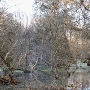 Série Nature - Evran